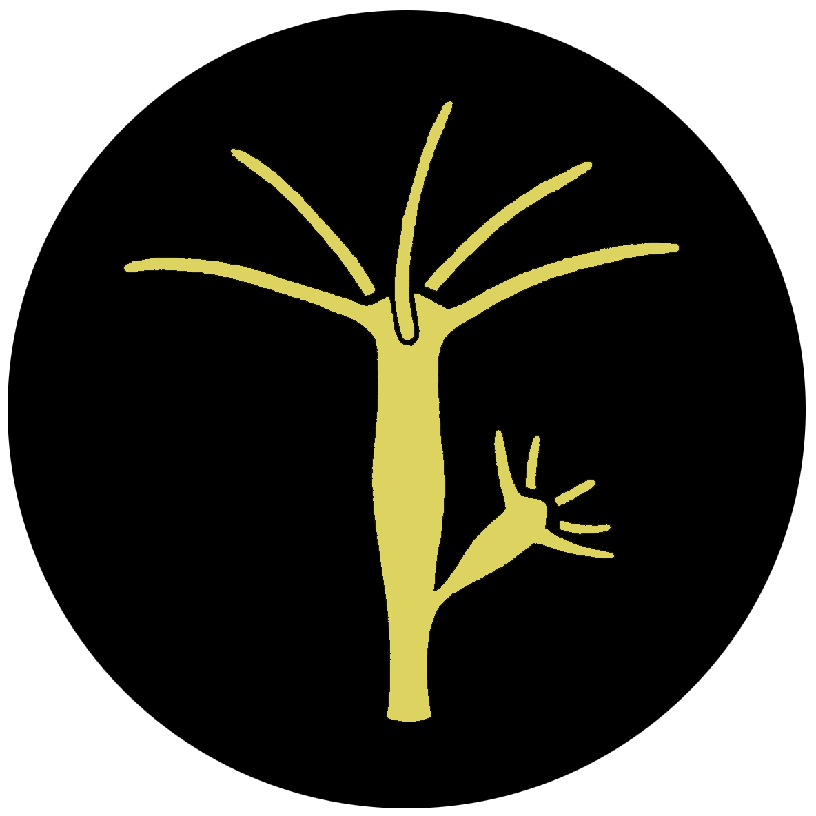 hydra yellow